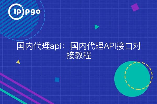国内代理api：国内代理API接口对接教程