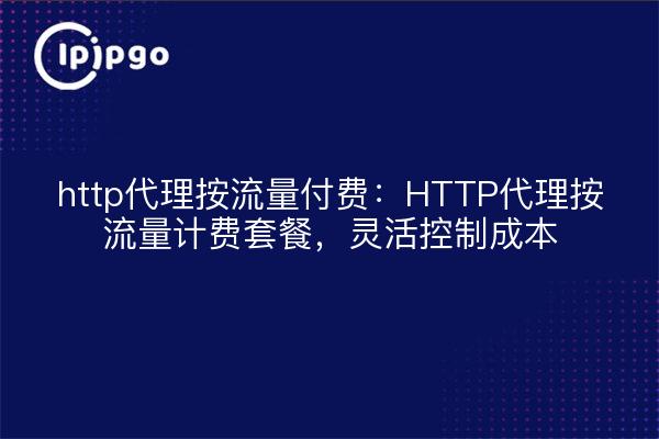 http代理按流量付费：HTTP代理按流量计费套餐，灵活控制成本