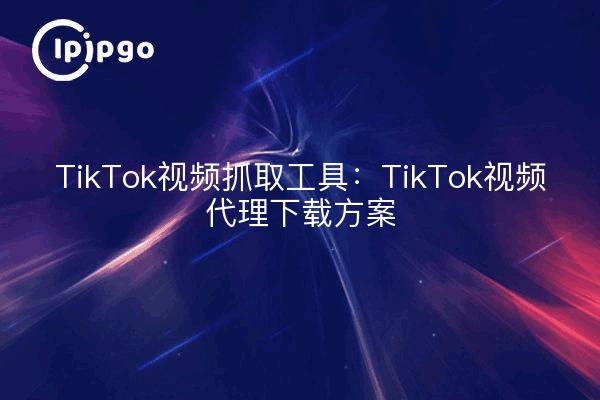 TikTok视频抓取工具:TikTok视频代理下载方案