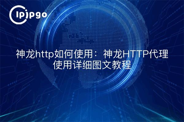 Dragon http how to use: Dragon HTTP proxy to use detaillierte grafische Anleitungen