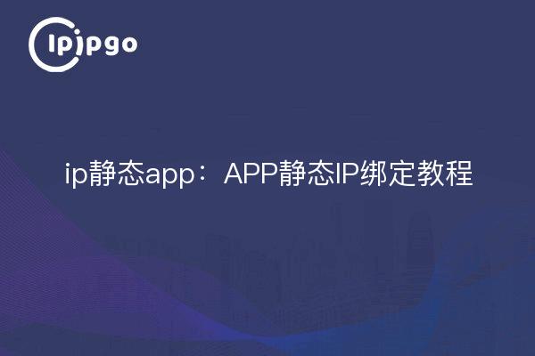 ip static app: Tutorial zur statischen IP-Bindung der APP