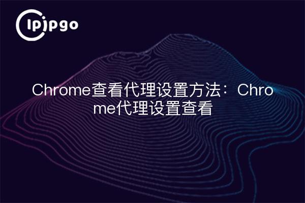 Chrome查看代理设置方法：Chrome代理设置查看
