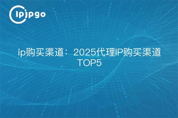 Canales de compra IP: 2025 Agente Canales de compra IP Top 5