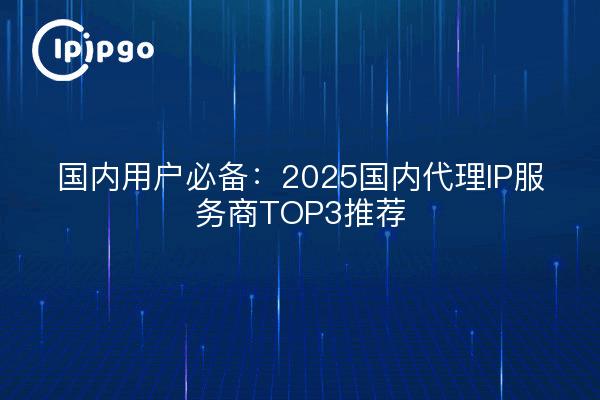 国内用户必备：2025国内代理IP服务商TOP3推荐