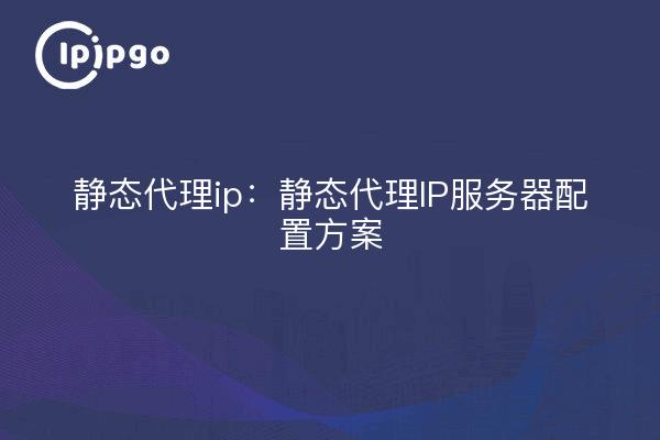 Proxy ip estático: esquema de configuración del servidor proxy ip estático