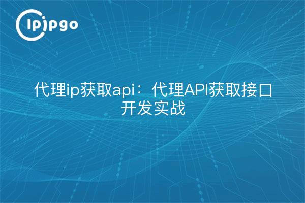 代理ip获取api：代理API获取接口开发实战