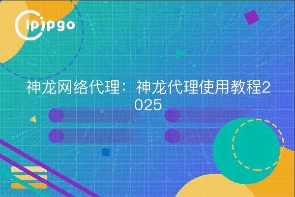 神龙网络代理：神龙代理使用教程2025