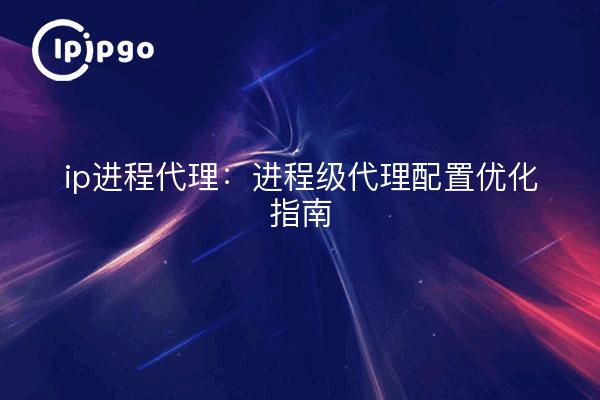 ip Process Proxy: Leitfaden zur Optimierung der Proxy-Konfiguration auf Prozessebene
