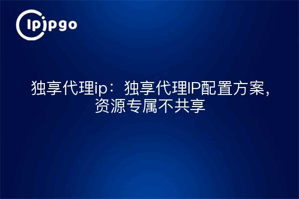 Exclusive proxy ip: Exclusive proxy IP configuration program, exclusive resources are not shared