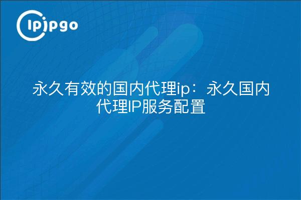 Permanent valid domestic proxy ip: permanent domestic proxy ip service configuration