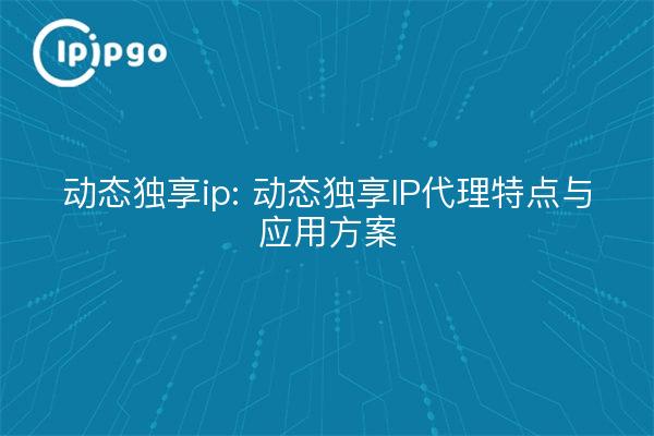动态独享ip: 动态独享IP代理特点与应用方案