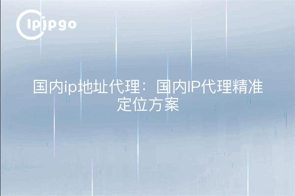 国内ip地址代理:国内IP代理精准定位方案