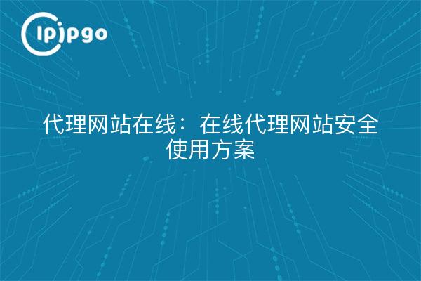 代理网站在线:在线代理网站安全使用方案