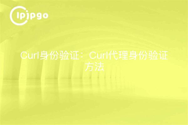 Curl身份验证：Curl代理身份验证方法