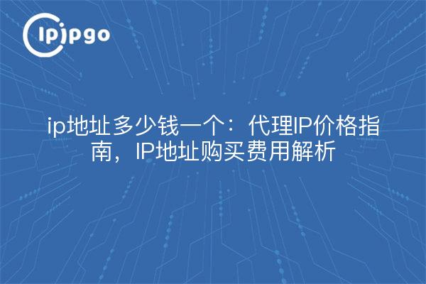 Combien coûte une adresse IP : guide des prix des IP proxy, analyse des coûts d'achat des adresses IP