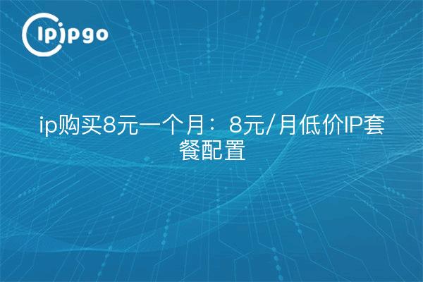 ip purchase $8 a month: $8/Monat kostengünstige IP-Paketkonfiguration