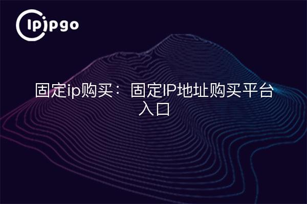 Fixed IP address purchase: fixed IP address purchase platform entrance