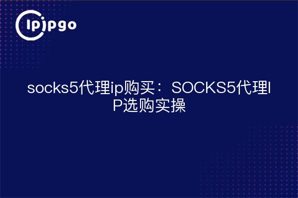 socks5 proxy ip purchase: SOCKS5 proxy IP purchase practice