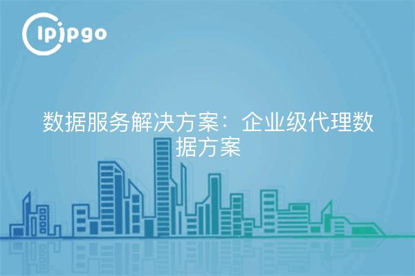 Data service solutions: enterprise-level proxy data solutions