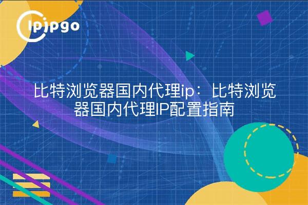 比特浏览器国内代理ip：比特浏览器国内代理IP配置指南
