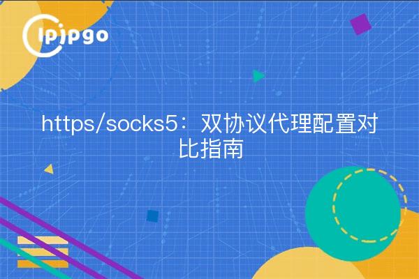 https/socks5: Dual Protocol Proxy Configuration Comparison Guide