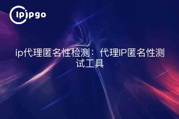 ip代理匿名性检测：代理IP匿名性测试工具