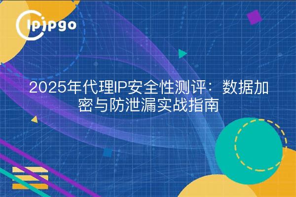 Proxy IP Security Measurement 2025: Guía práctica para el cifrado y la prevención de fugas de datos