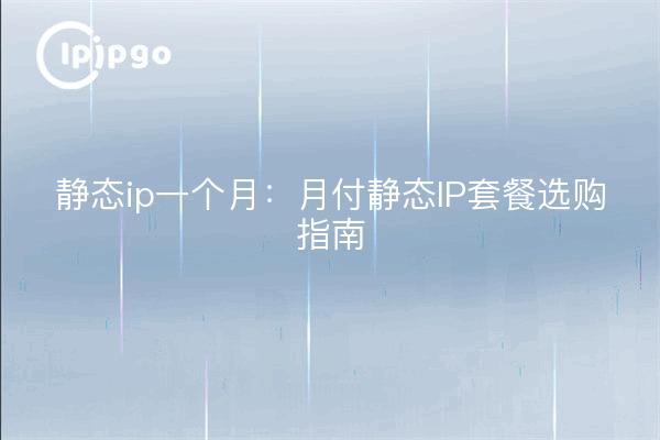 IP statique un mois : paiement mensuel paquet IP statique guide d'achat