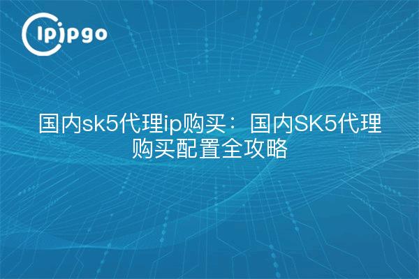 Inländische SK5 Proxy-IP-Kauf: inländische SK5 Proxy-Kauf-Konfiguration volle Strategie