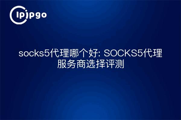 socks5代理哪个好: SOCKS5代理服务商选择评测