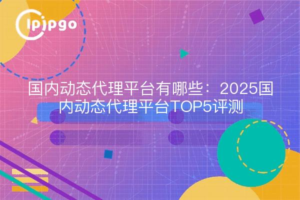 Quelles sont les plateformes de proxy dynamiques nationales : 2025 plateformes de proxy dynamiques nationales TOP5