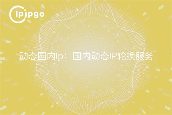 动态国内ip：国内动态IP轮换服务