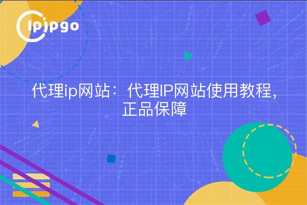 代理ip网站:代理IP网站使用教程,正品保障