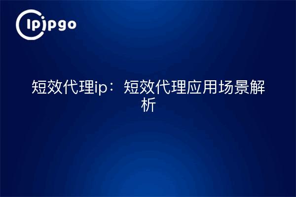 短效代理ip：短效代理应用场景解析