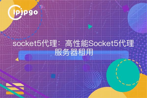 socket5代理:高性能Socket5代理服务器租用