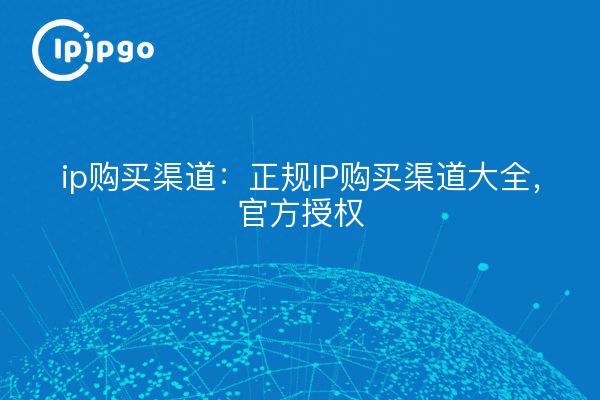ip购买渠道：正规IP购买渠道大全，官方授权