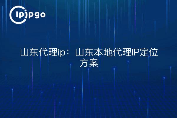 Shandong proxy ip : programme de positionnement IP du proxy local de Shandong