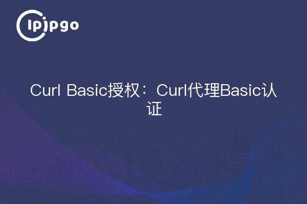 Curl Basic授权：Curl代理Basic认证