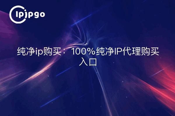 Reiner IP-Kauf: 100% Reiner IP-Proxy-Kauf Entrance