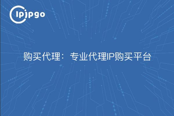 购买代理：专业代理IP购买平台