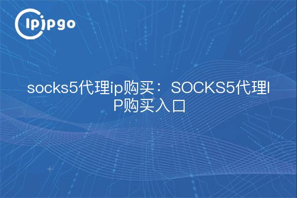 socks5 proxy ip purchase: SOCKS5 proxy IP purchase portal