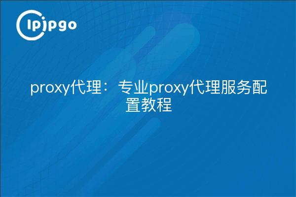 proxy代理:专业proxy代理服务配置教程