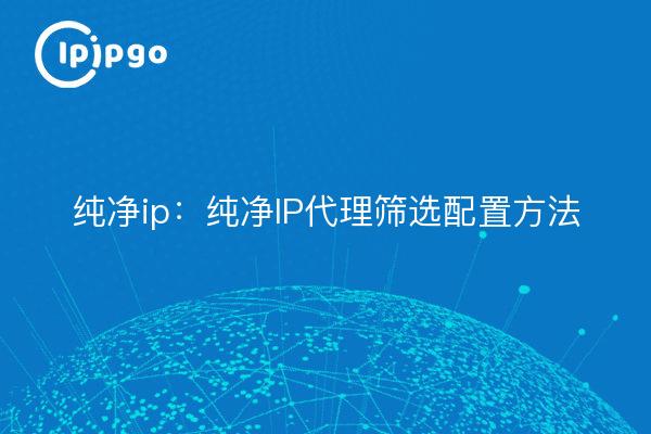 Pure ip: Métodos de configuración del filtrado proxy de IP pura