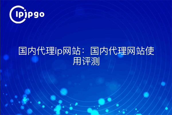 Domestic proxy ip site: domestic proxy site use review