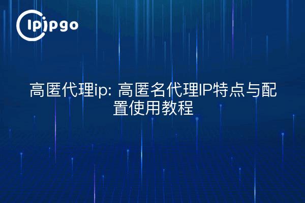 High anonymous proxy ip: high anonymous proxy ip features and configuration tutorials