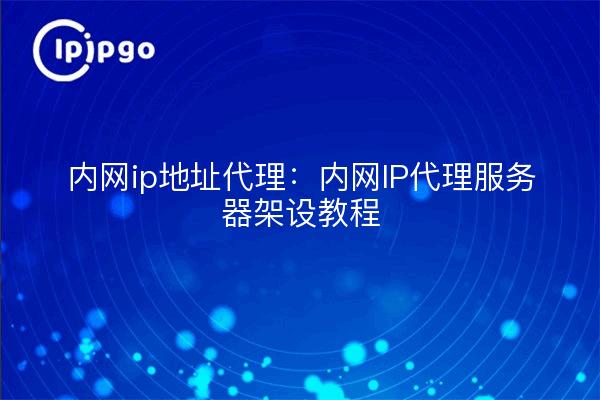 Intranet ip address proxy: intranet ip proxy server setup tutorial