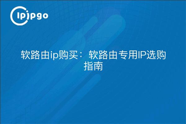 Soft routing ip purchase: soft routing dedicated IP purchase guide