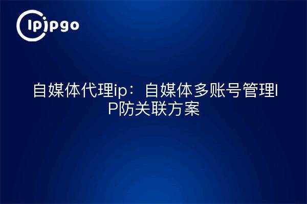 自媒体代理ip：自媒体多账号管理IP防关联方案