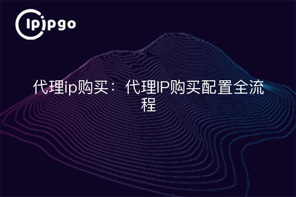 代理ip购买:代理IP购买配置全流程