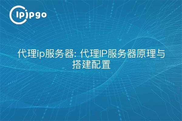 Proxy-IP-Server: Prinzip des Proxy-IP-Servers und Aufbau der Konfiguration